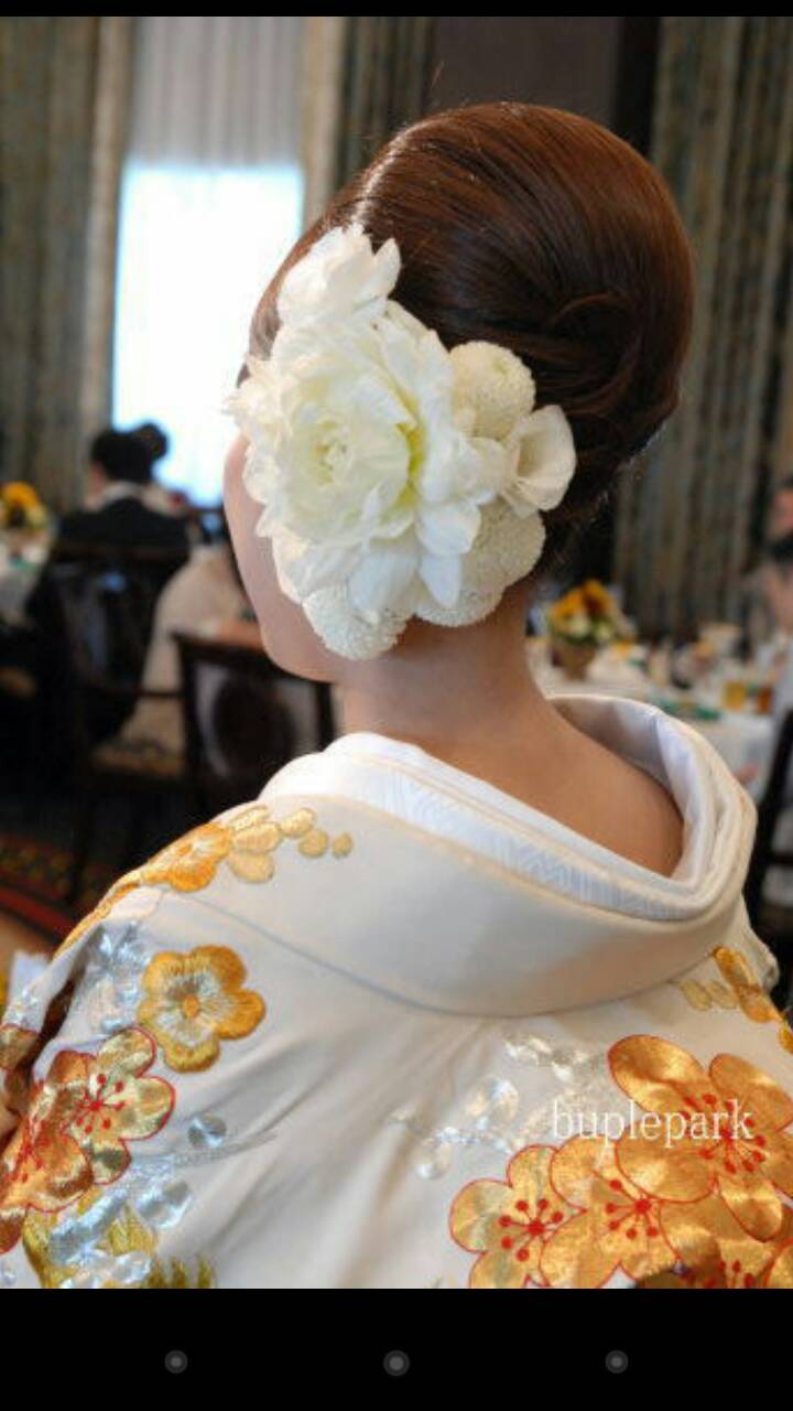 �n�[���[�_�r�b�h�\��