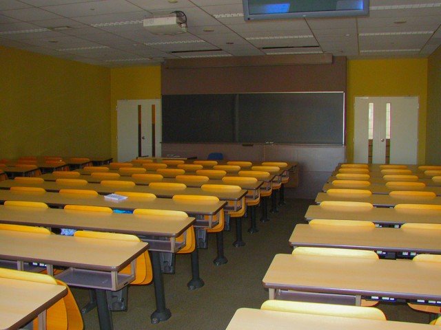 �n�[���[�_�r�b�h�\��